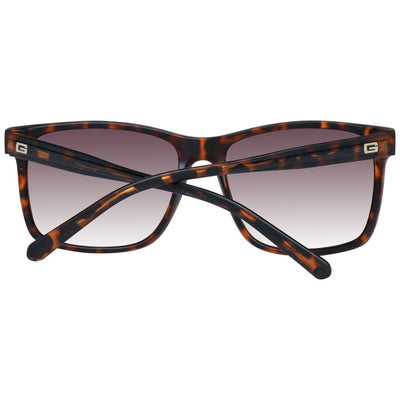 Brown Men Sunglass