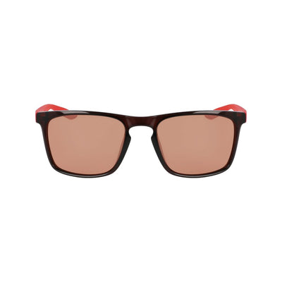 Brown Injected Sunglasses