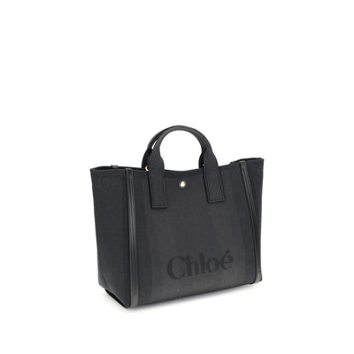 Carry Handbag